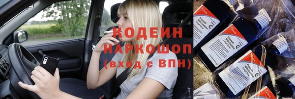 крисы Баксан