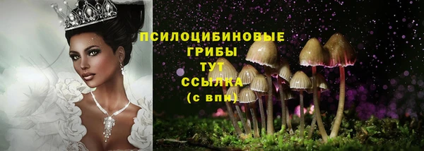 mdpv Белоозёрский